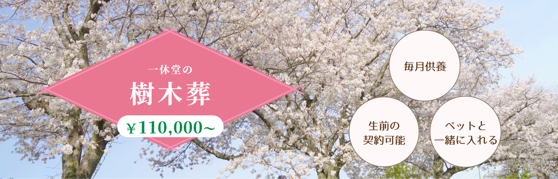 一休堂の樹木葬￥110,000～/毎月供養/生前の契約可能/ペットと一緒に入れる