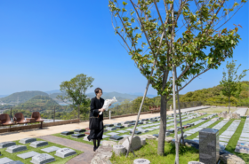 永代供養　樹木葬
